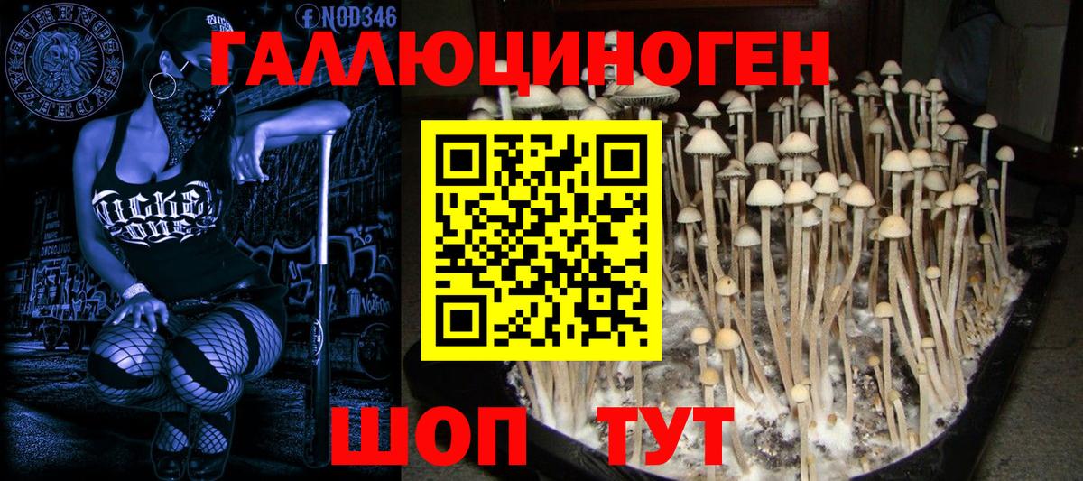 Псилоцибиновые грибы MAGIC MUSHROOMS Скопин