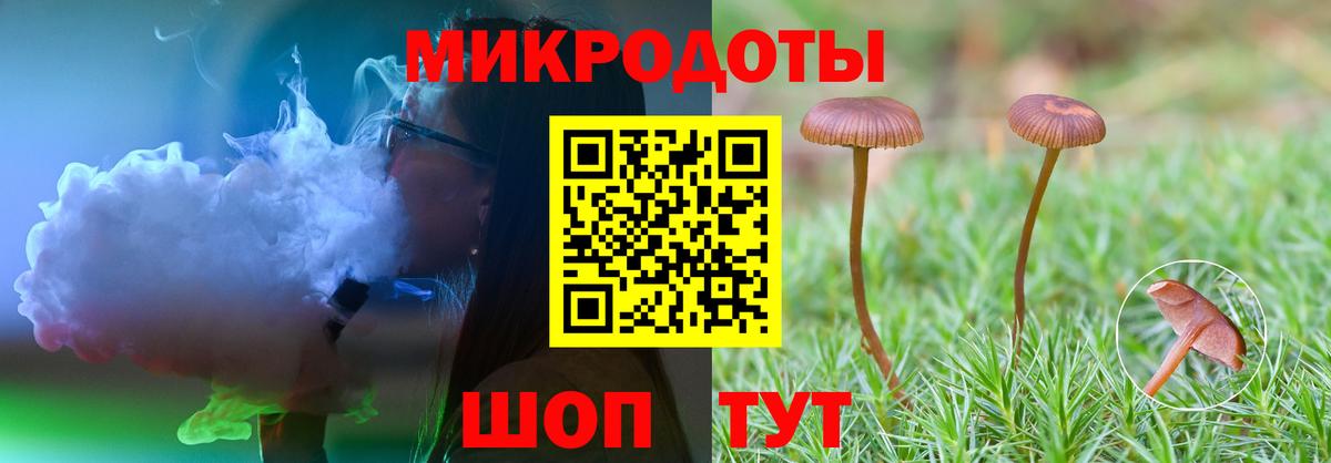 Псилоцибиновые грибы мицелий  Вход с VPN  Скопин  Галлюциногенные грибы MAGIC MUSHROOMS 
